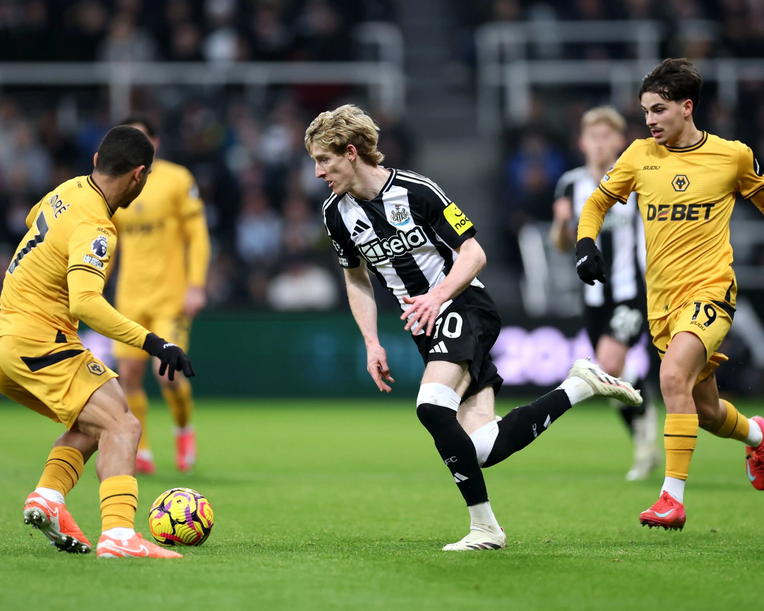 Newcastle United vs Wolves