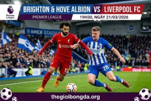 Brighton vs Liverpool